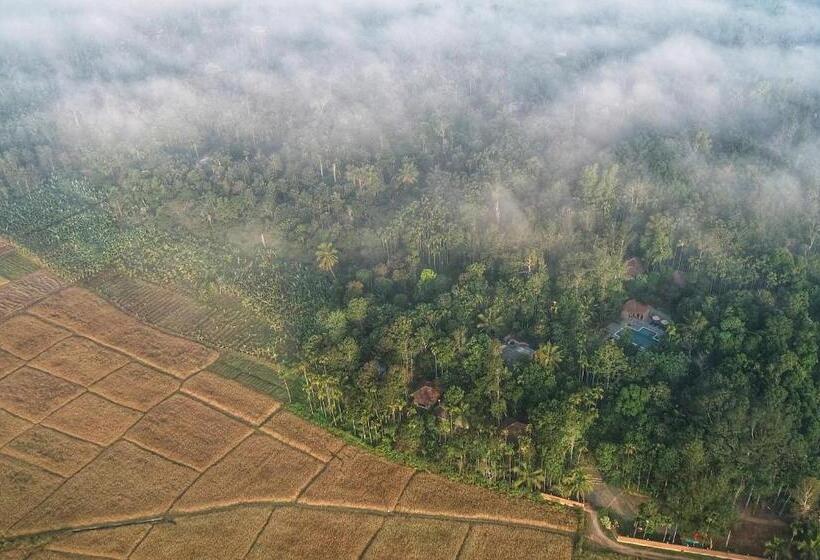 Raindrops Resorts Wayanad