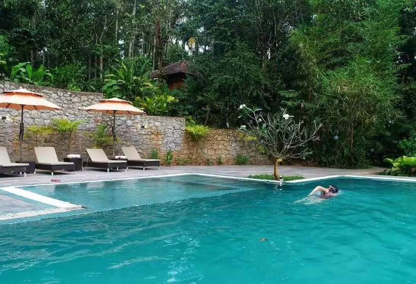 Raindrops Resorts Wayanad