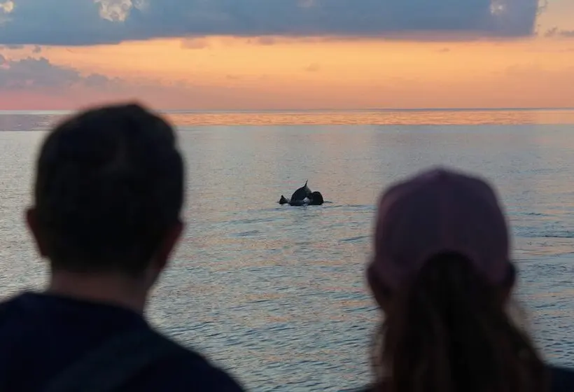 هتل Eri Maldives
