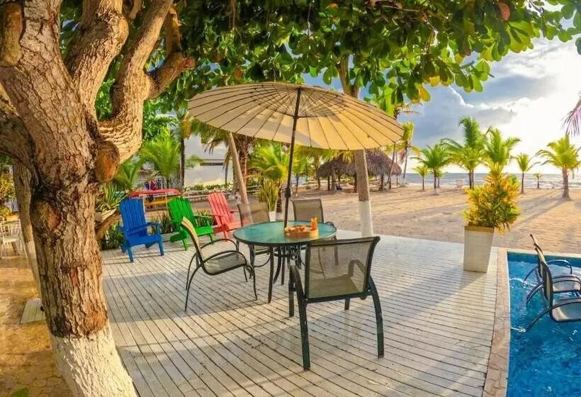 ホテル Quinta Del Mar La Joya