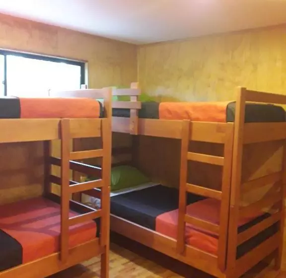 هاستل La Casa Del Kori