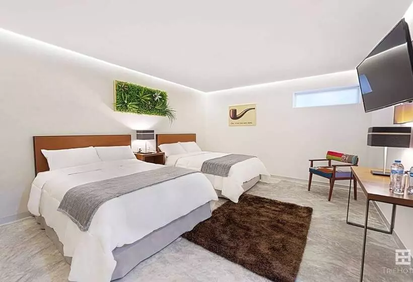 Hotelli Urban 101