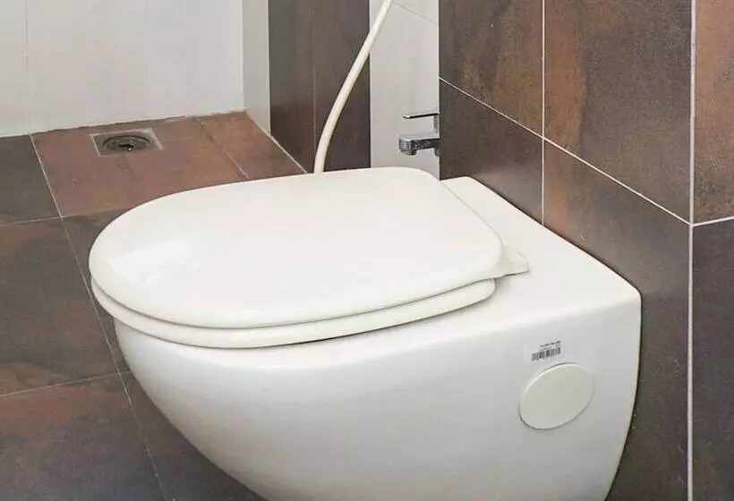 Oyo 10198 Hotel Aris