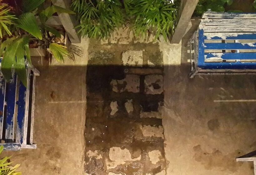 Cycling Backpacker Hostel & Cafe