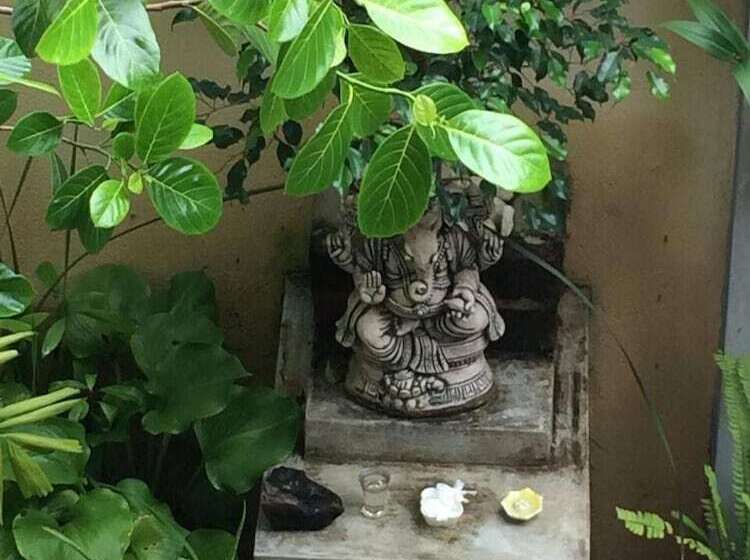 Cycling Backpacker Hostel & Cafe