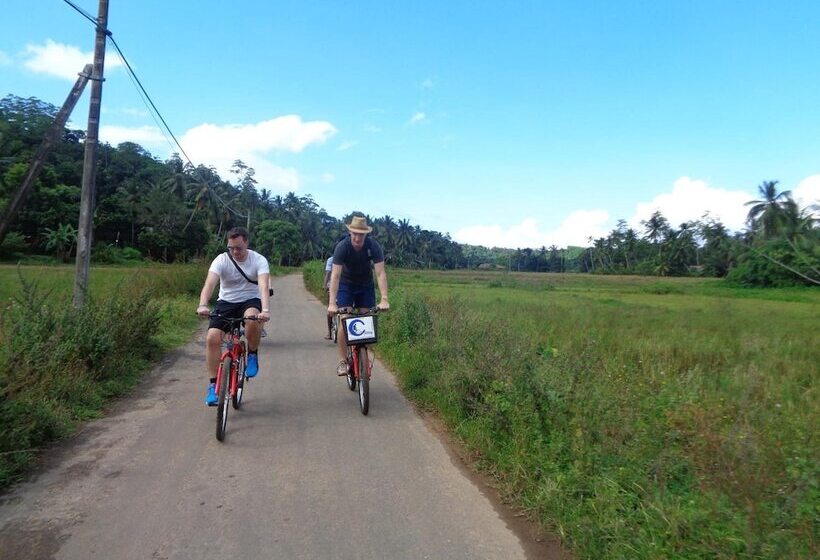 Cycling Backpacker Hostel & Cafe