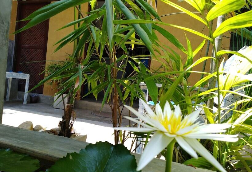 Cycling Backpacker Hostel & Cafe