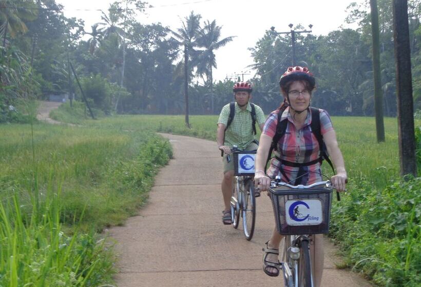 Cycling Backpacker Hostel & Cafe