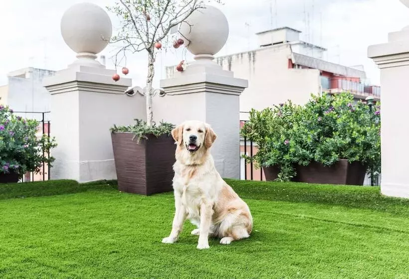 تختخواب و صبحانه 200s & Terrace