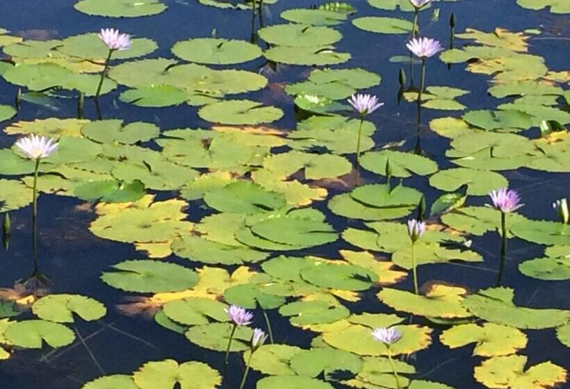 צימר Fish Eagle Lodge