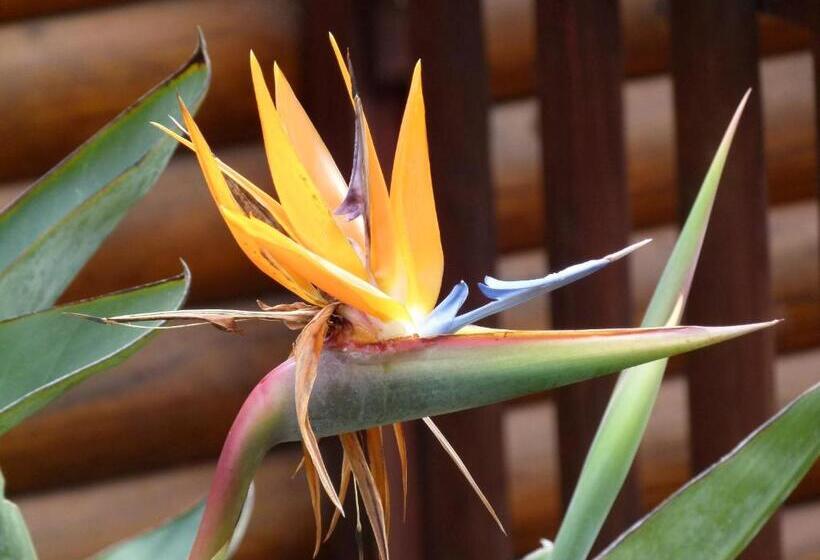 צימר Fish Eagle Lodge