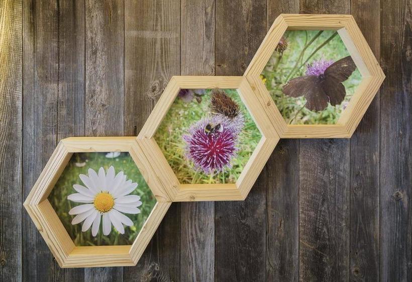 مبيت وإفطار Plang Farmhouse