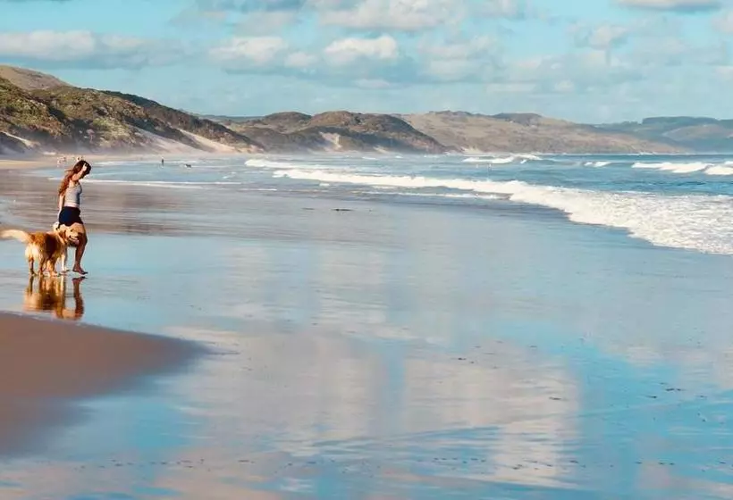 ホテル Purple Haze Eco Lodge