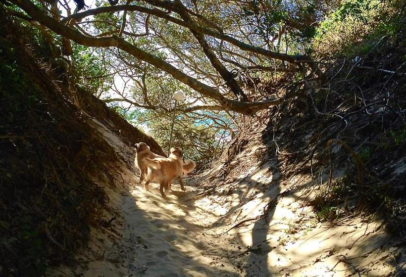 Отель Purple Haze Eco Lodge