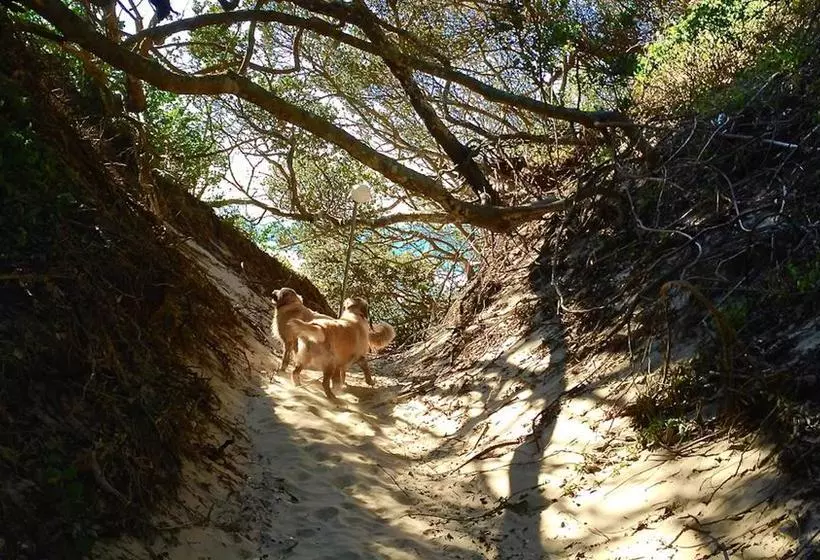 ホテル Purple Haze Eco Lodge