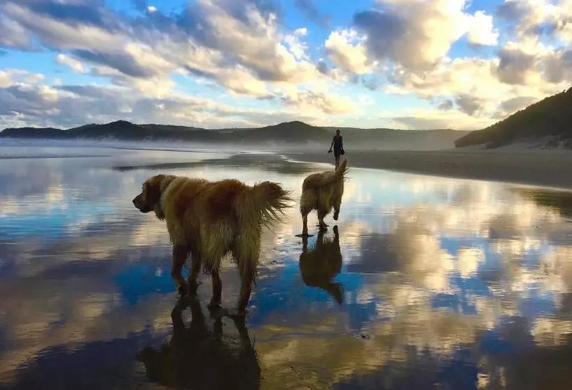 ホテル Purple Haze Eco Lodge