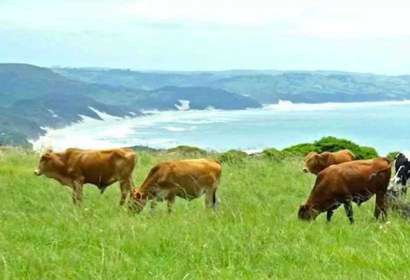 ホテル Purple Haze Eco Lodge