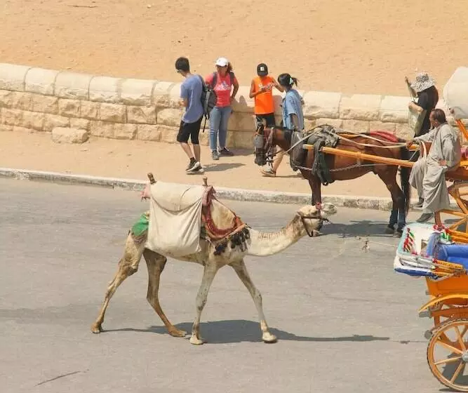 هتل Pyramids Valley Boutique