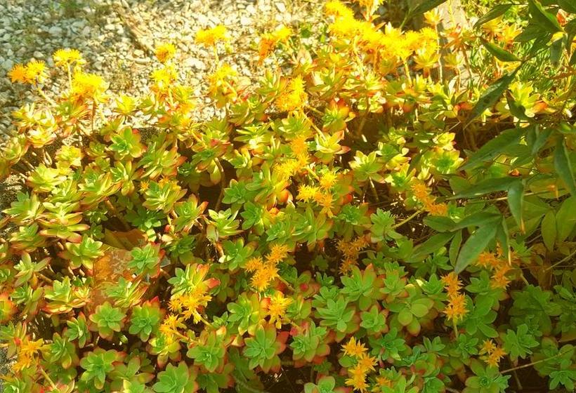 Villa Indipendente A Pochi Passi Dal Lago