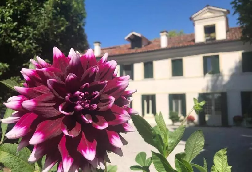 Aamiaismajoitus (B&B) Ca' Settecento Villa Cavazza Querini