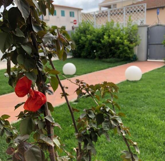 تختخواب و صبحانه City Garden Guest House