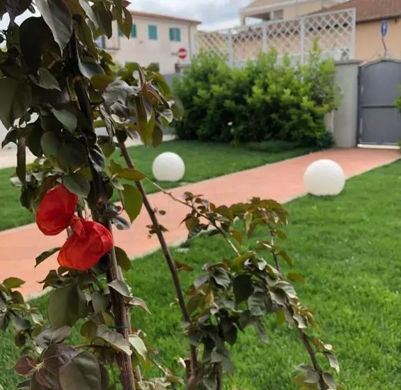 ベッドアンドブレックファースト City Garden Guest House