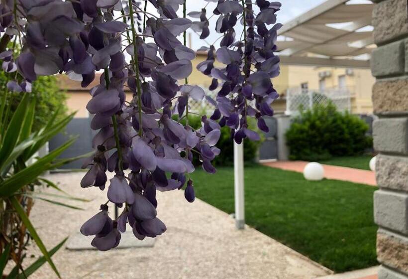 تختخواب و صبحانه City Garden Guest House