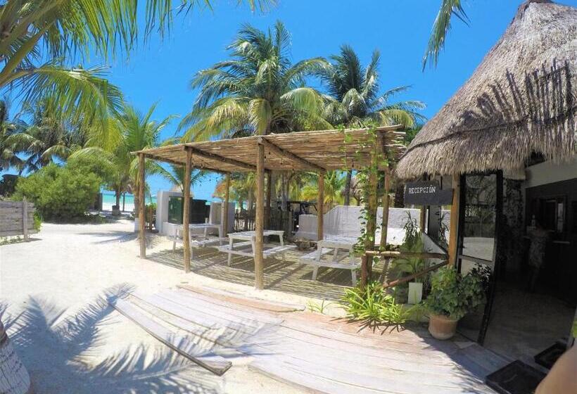 هتل La Diosa Kali Beach Front