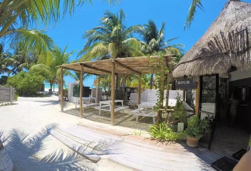 ホテル La Diosa Kali Beach Front