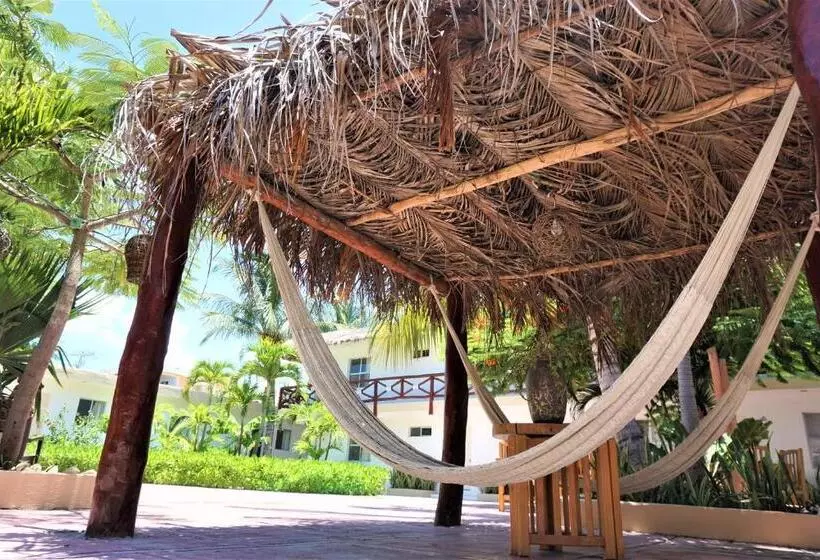 ホテル La Diosa Kali Beach Front