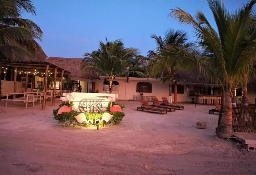 ホテル La Diosa Kali Beach Front