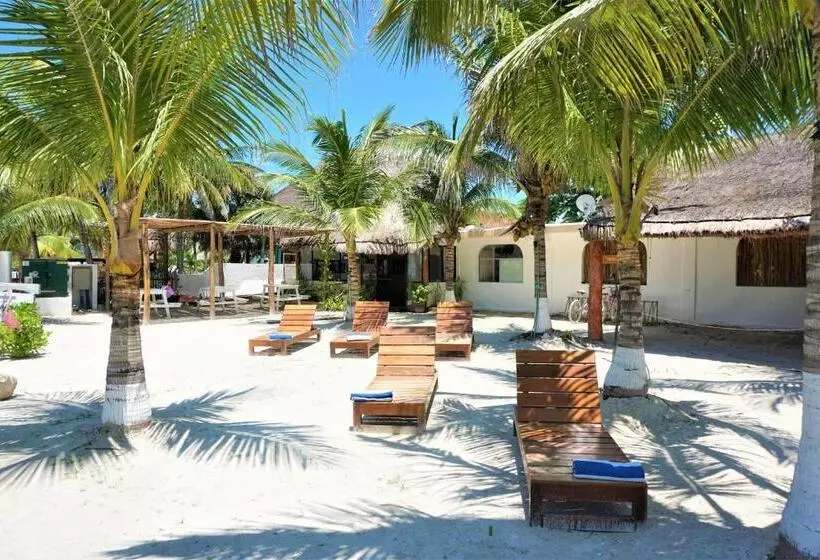 ホテル La Diosa Kali Beach Front