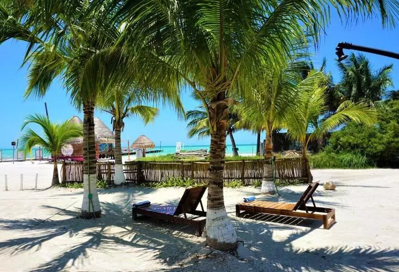 ホテル La Diosa Kali Beach Front
