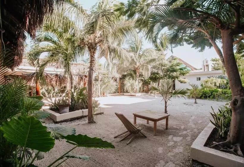 ホテル La Diosa Kali Beach Front