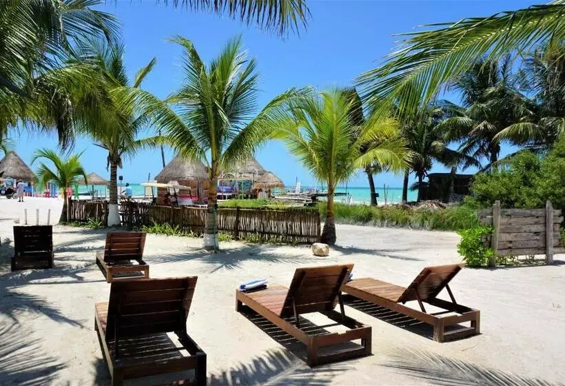 ホテル La Diosa Kali Beach Front