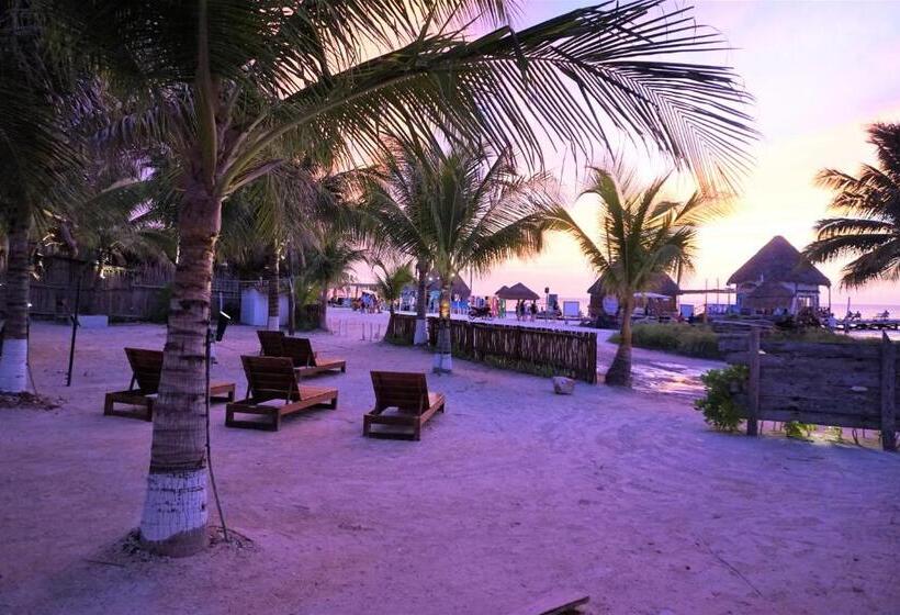 هتل La Diosa Kali Beach Front