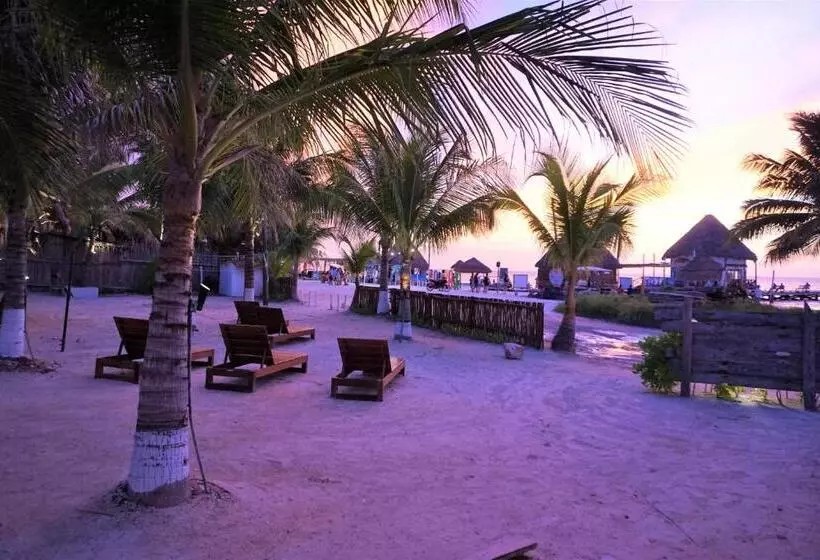 ホテル La Diosa Kali Beach Front