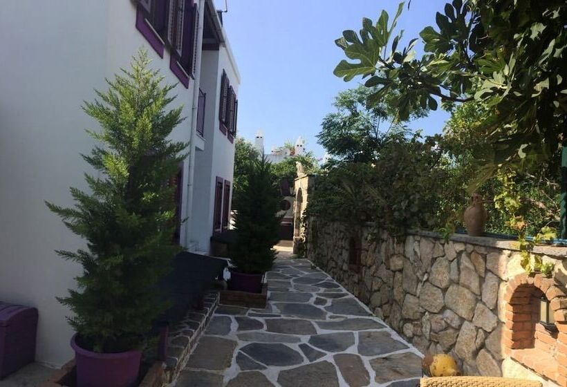 فندق Wish Suites Bodrum