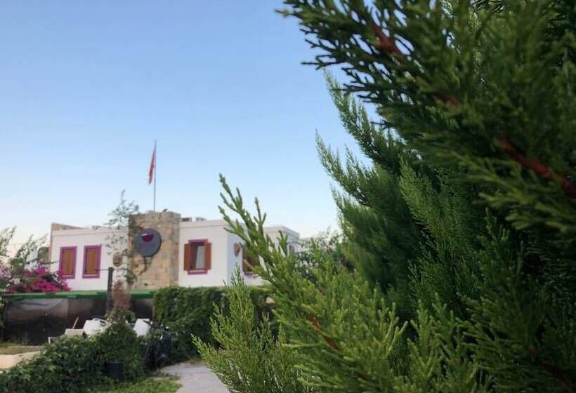 فندق Wish Suites Bodrum