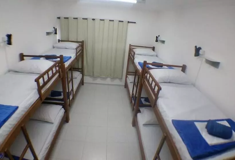 Lulu Hostel