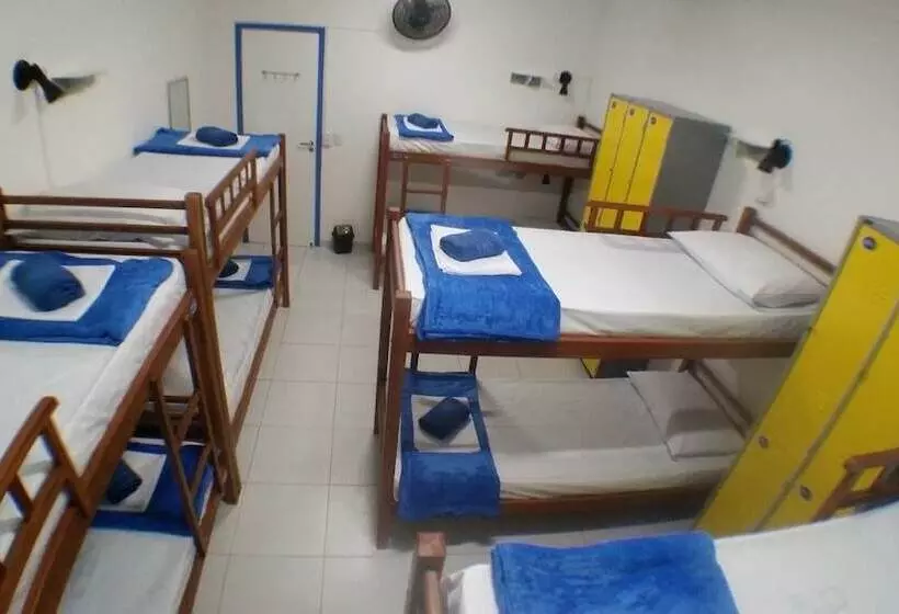 Lulu Hostel