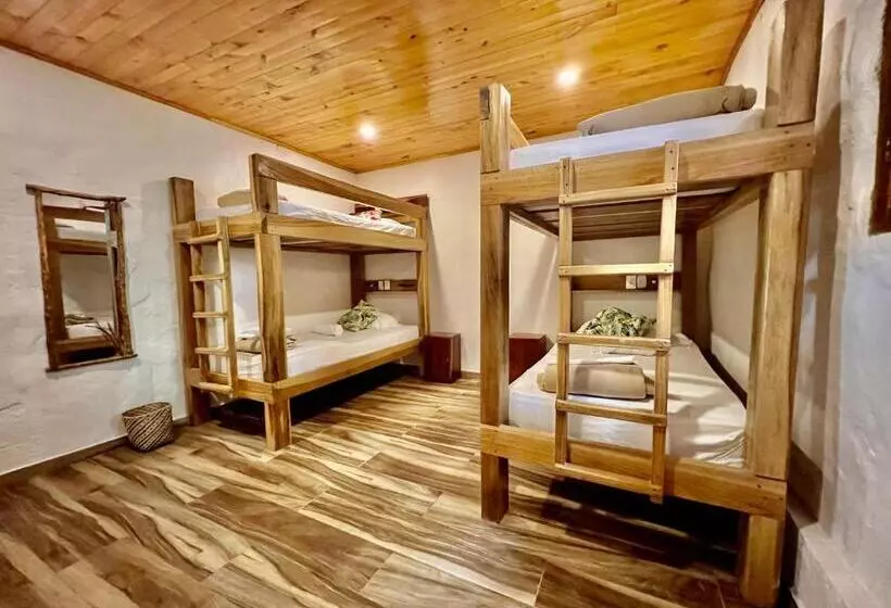 ユースホステル Masaya Casas Viejas