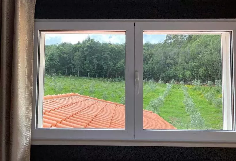 Aamiaismajoitus (B&B) Casa Carvalhal   Adults Only