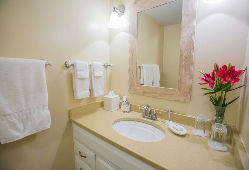 住宿加早餐  Gay Street Inn