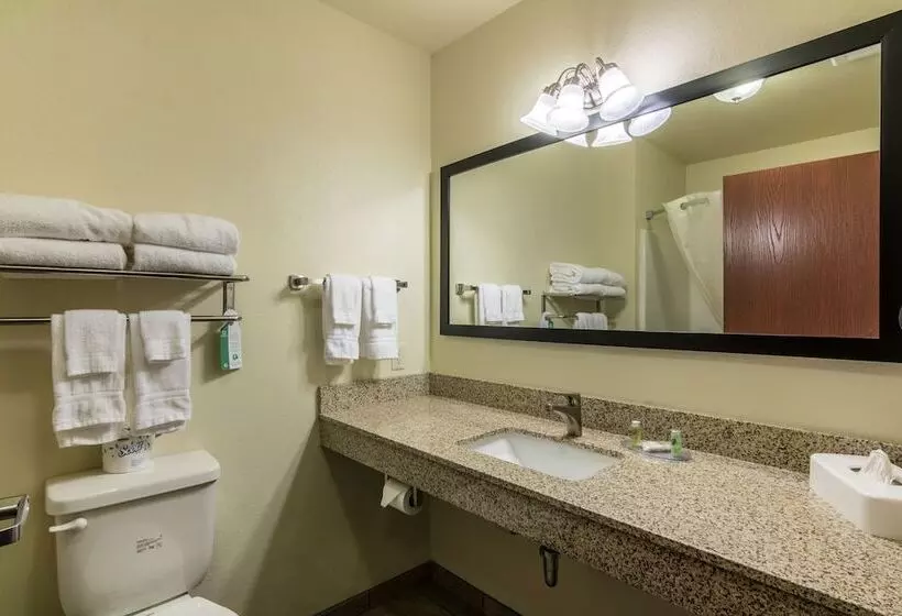 ホテル Cobblestone Inn & Suites  Barron