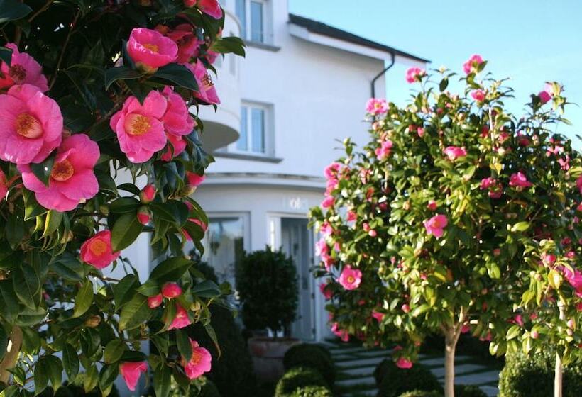 호텔 La Casa De Las Camelias