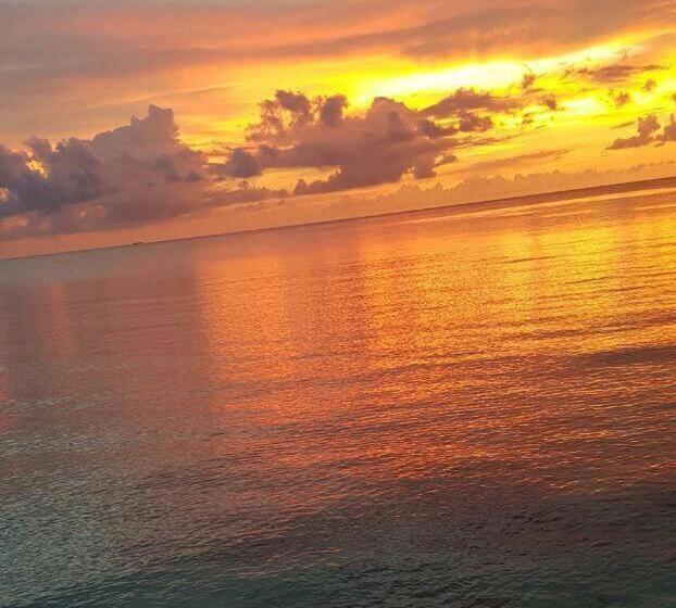 酒店 Pura Vida Baru La Casa Del Cholo