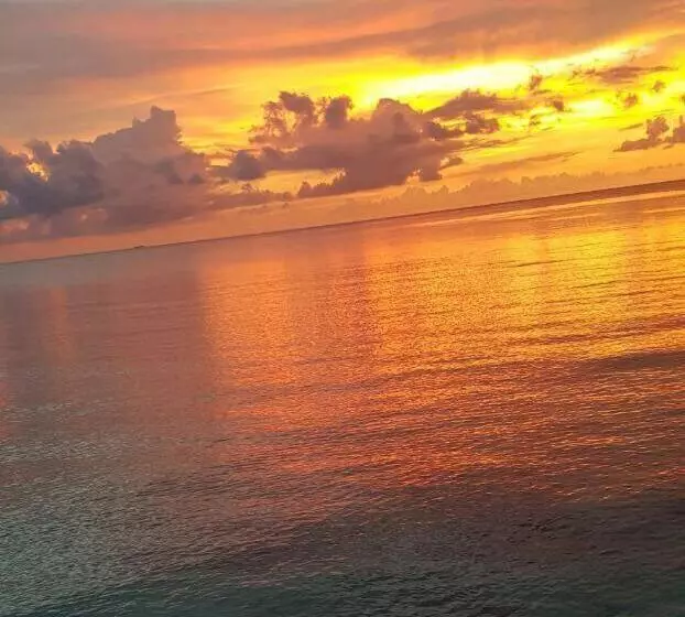 ホテル Pura Vida Baru   La Casa Del Cholo