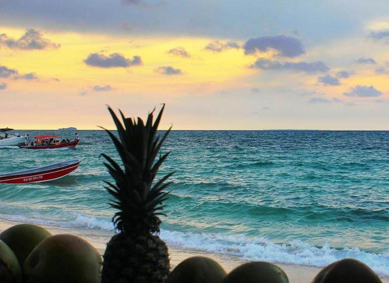 酒店 Pura Vida Baru La Casa Del Cholo