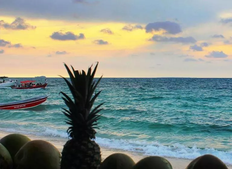 ホテル Pura Vida Baru   La Casa Del Cholo